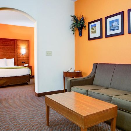 Comfort Suites Stevensville - St Joseph Rum bild